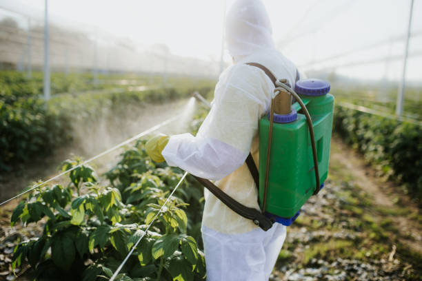 Best Local Pest Control Services  in Gates Mills, OH